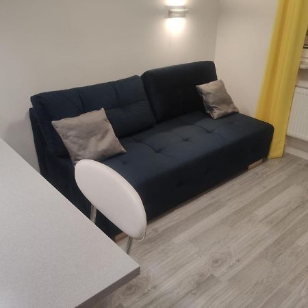 Comfortable Studio Only 20 Minutes From International Conference Center Katowice Best Place For Wuf2022 Eec Tnf Off Etc Siemianowice Śląskie Exterior foto
