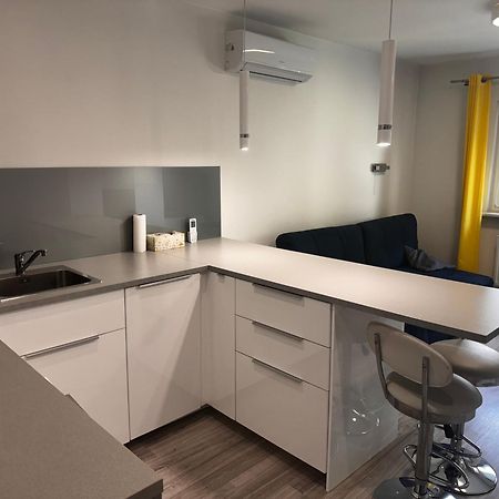 Comfortable Studio Only 20 Minutes From International Conference Center Katowice Best Place For Wuf2022 Eec Tnf Off Etc Siemianowice Śląskie Exterior foto